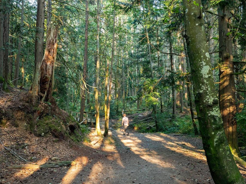 Listing Image for R3091978