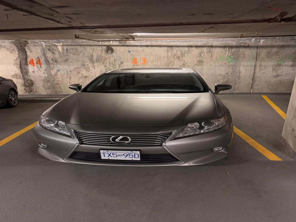 Listing Image for R3092046