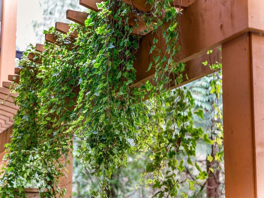 Listing Image for R3092149