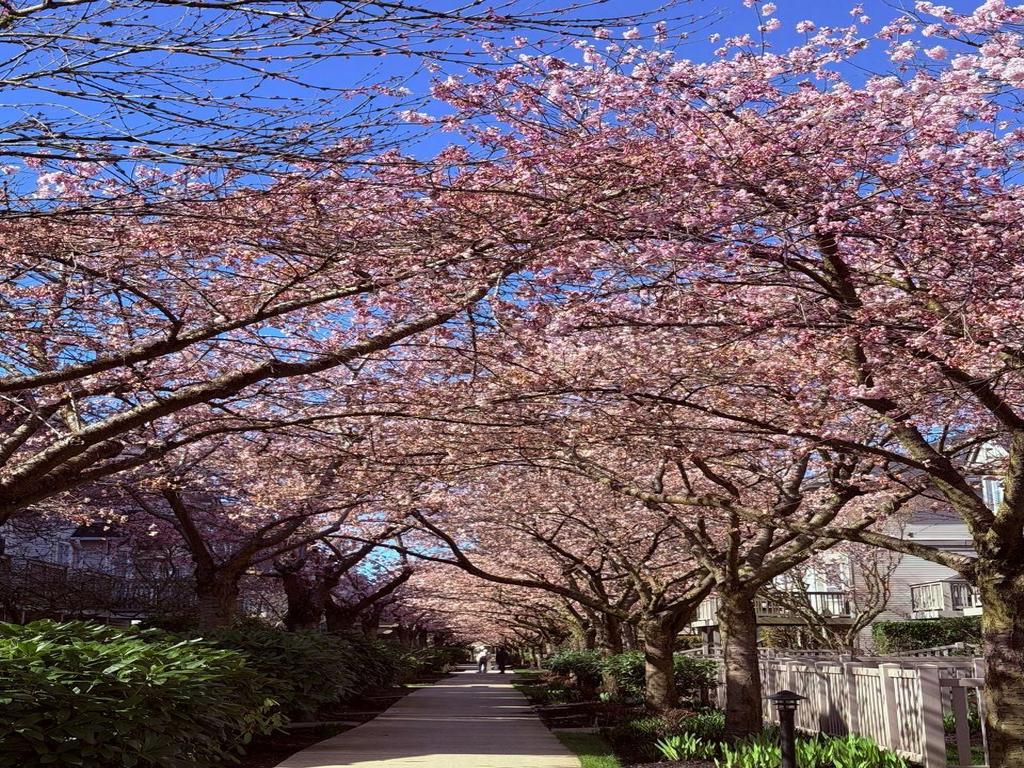 Listing Image for R3092387