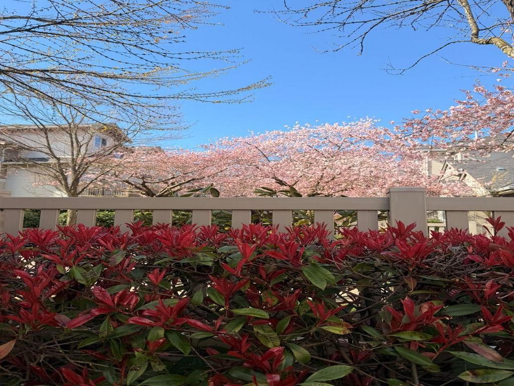 Listing Image for R3092387