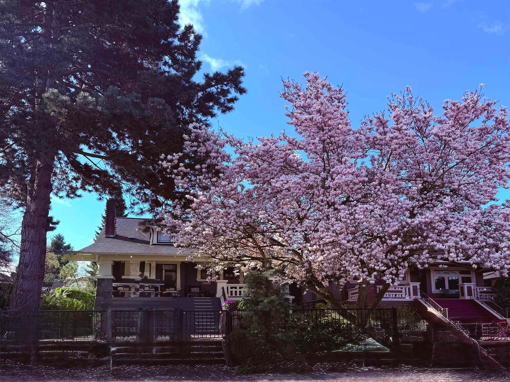 Listing Image for R3092542