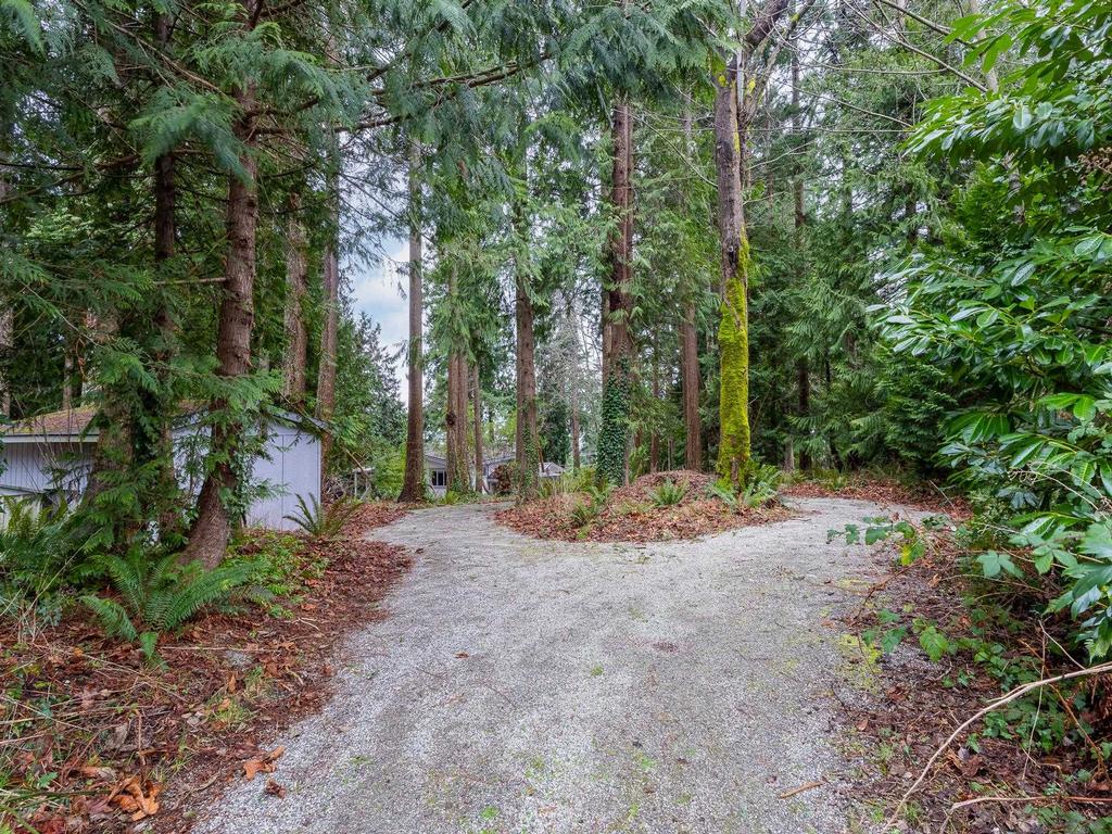 Listing Image for R3093053