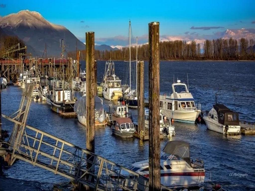 Listing Image for R3093318