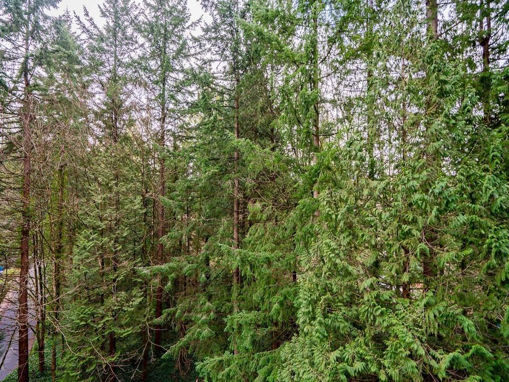 Listing Image for R3093342