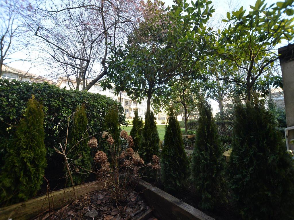 Listing Image for R3093469