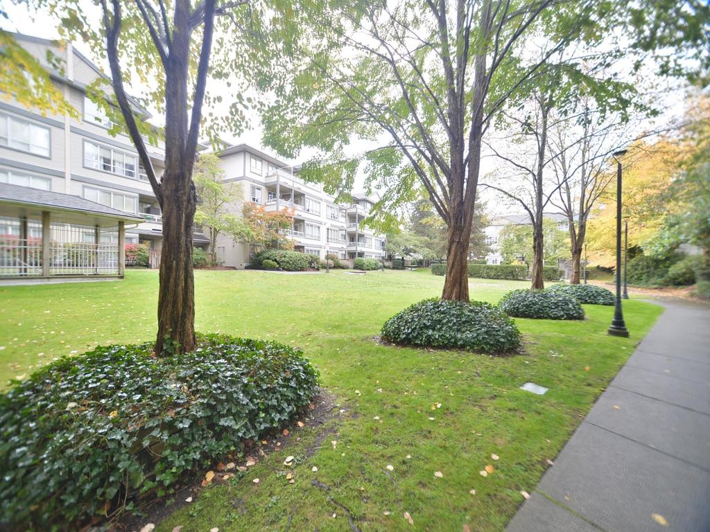 Listing Image for R3093469