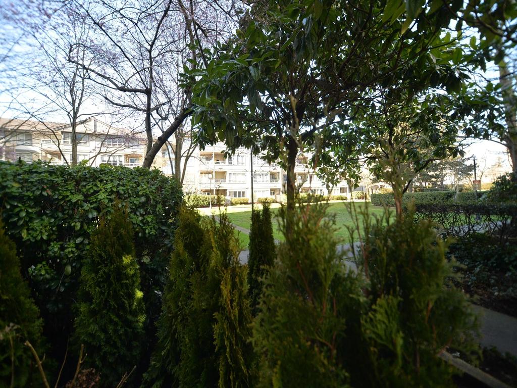 Listing Image for R3093469