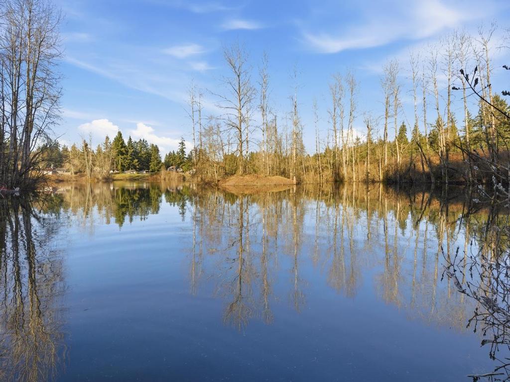 Listing Image for R3093718