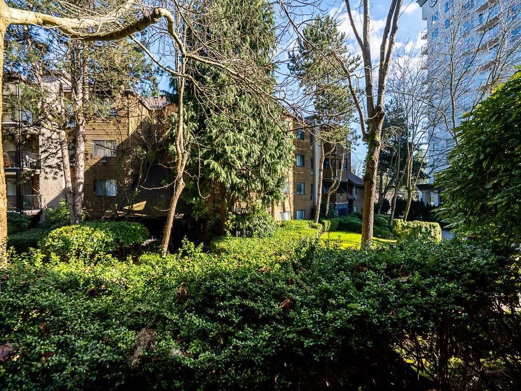 Listing Image for R3093837