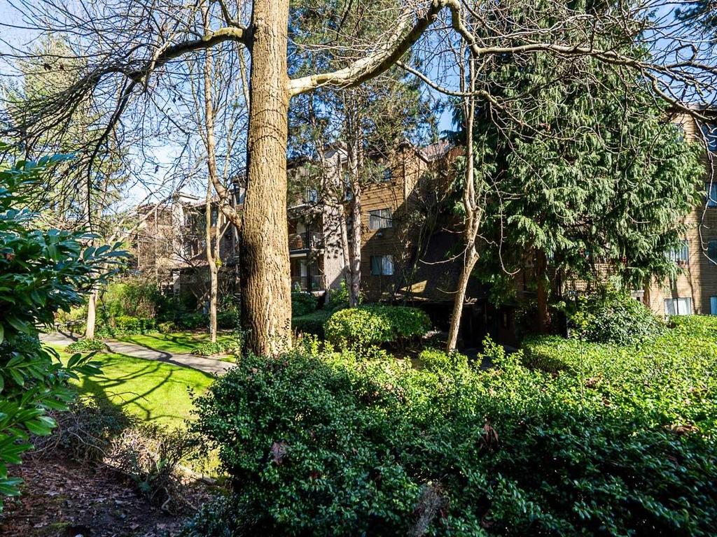 Listing Image for R3093837