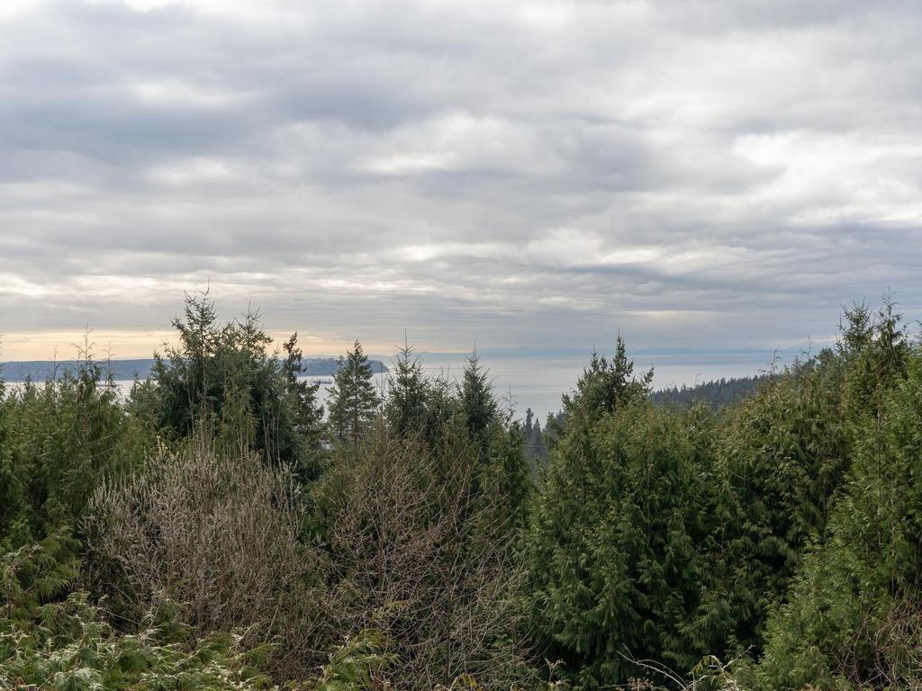 Listing Image for R3094135