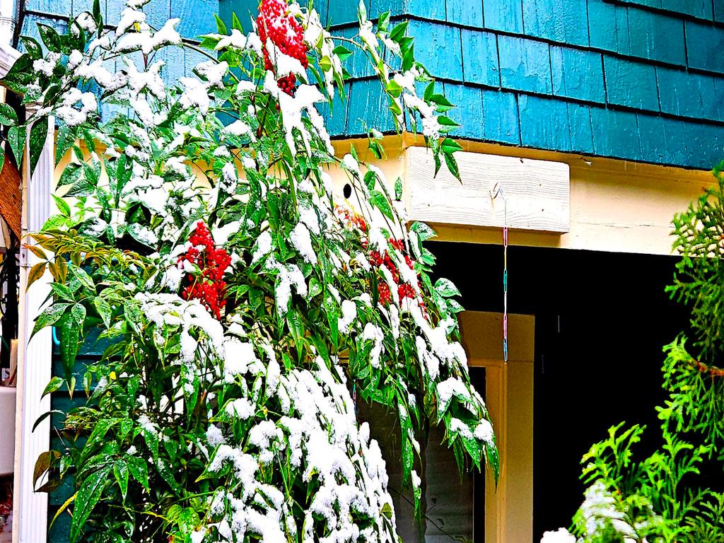 Listing Image for R3094345