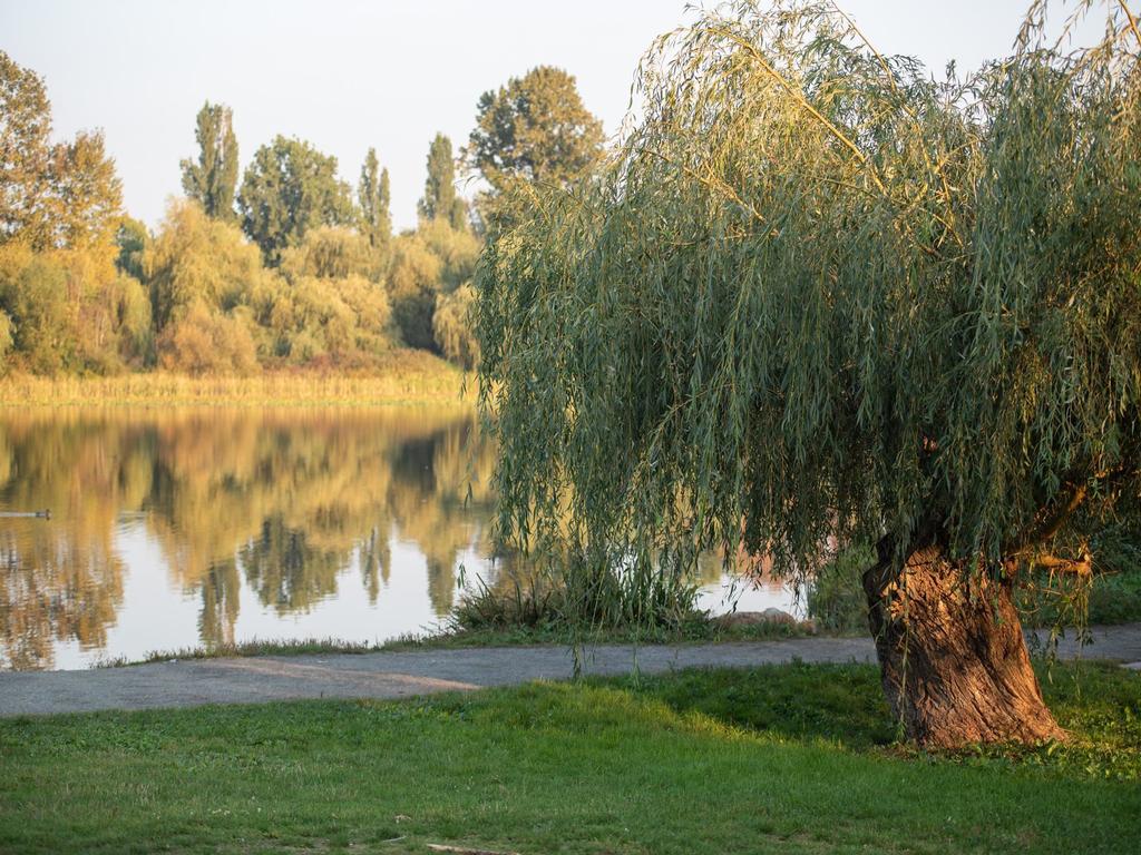 Listing Image for R3094399