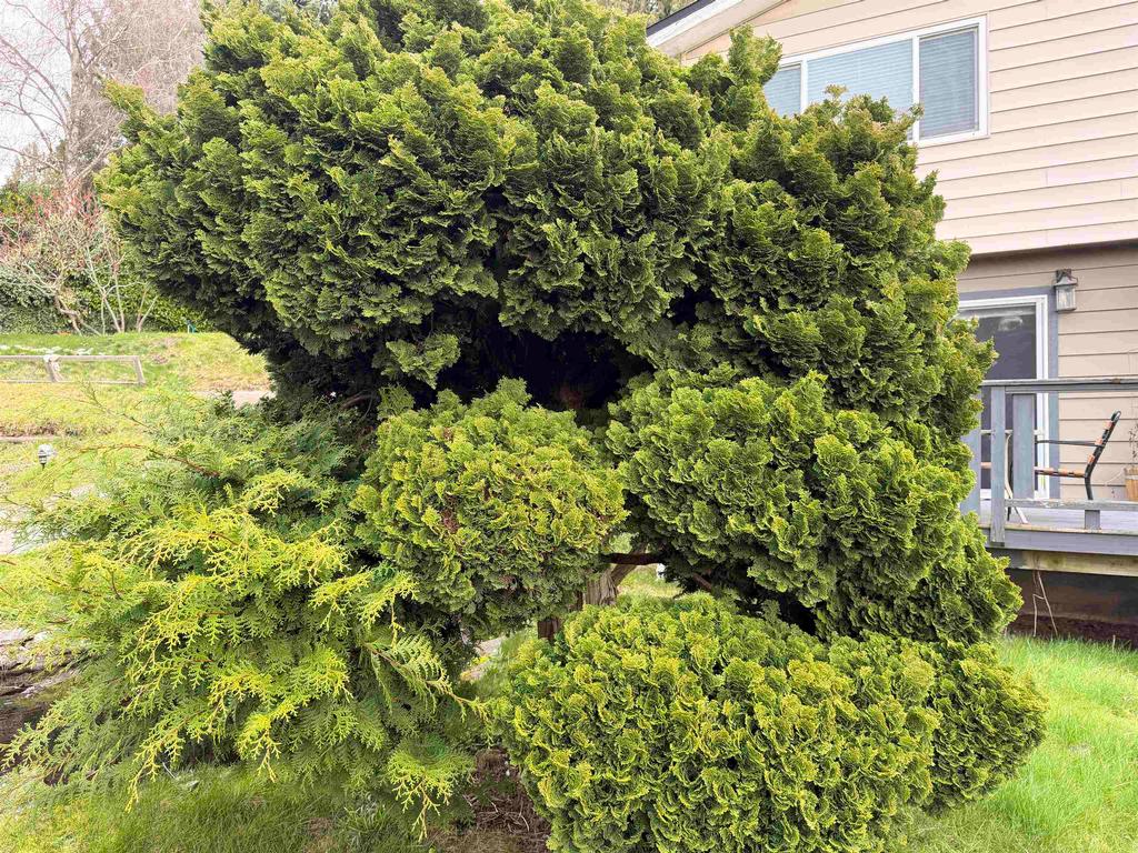 Listing Image for R3094714