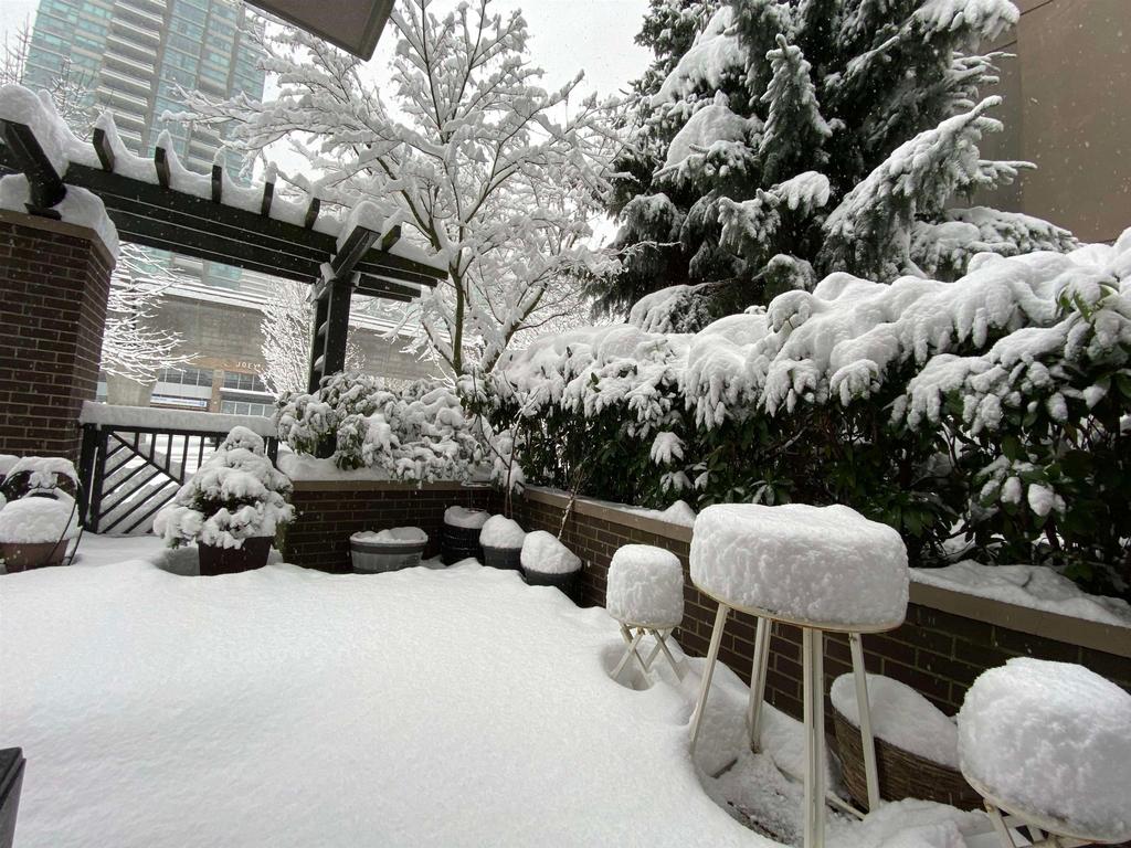 Listing Image for R3094936