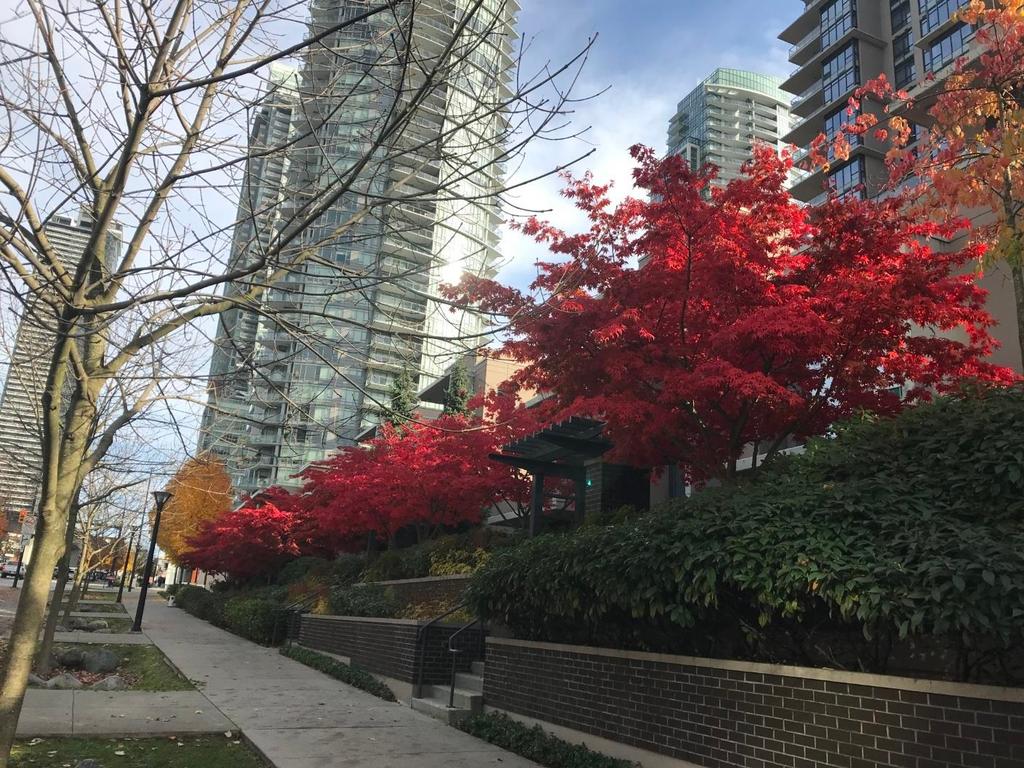 Listing Image for R3094936