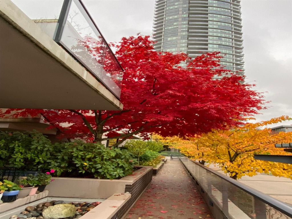 Listing Image for R3094936