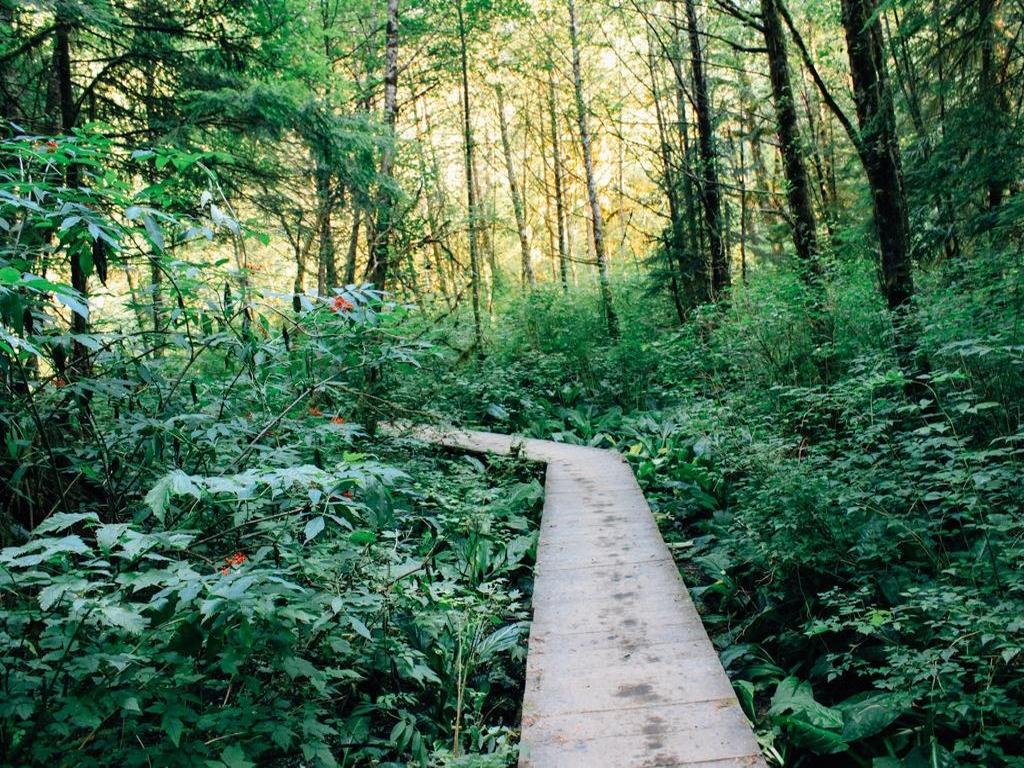 Listing Image for R3095337