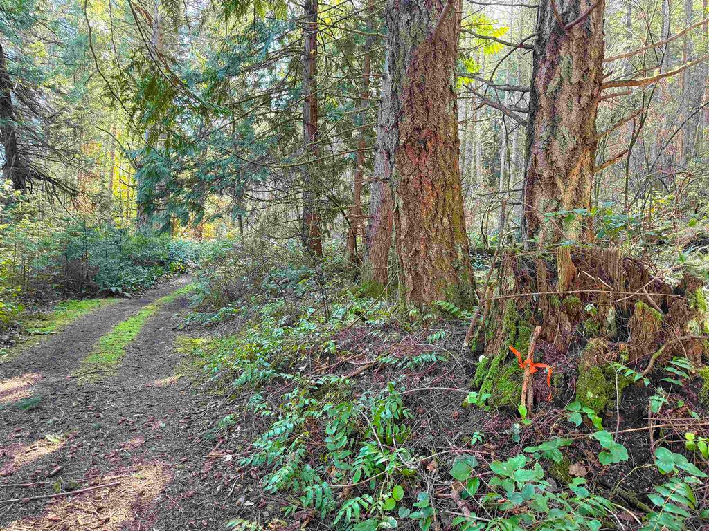 Listing Image for R3095384