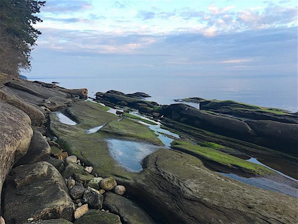 Listing Image for R3095384