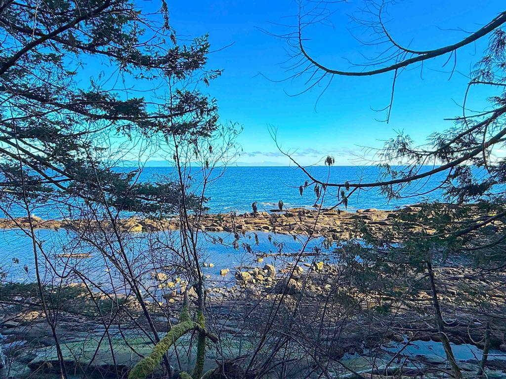 Listing Image for R3095384