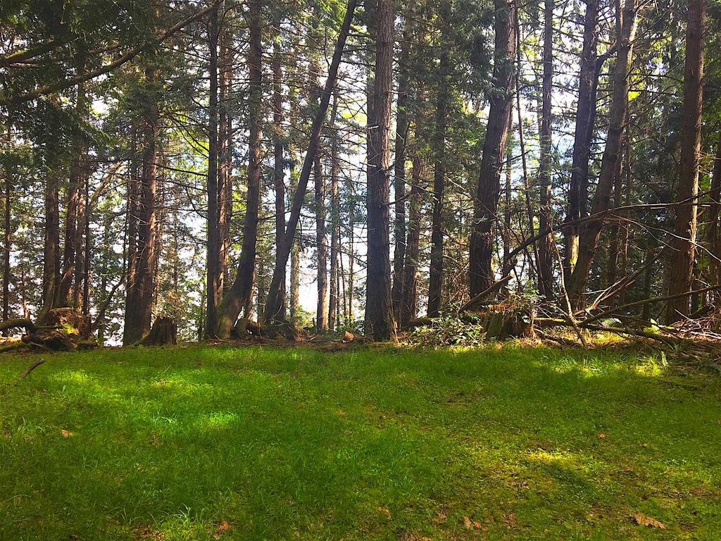 Listing Image for R3095384