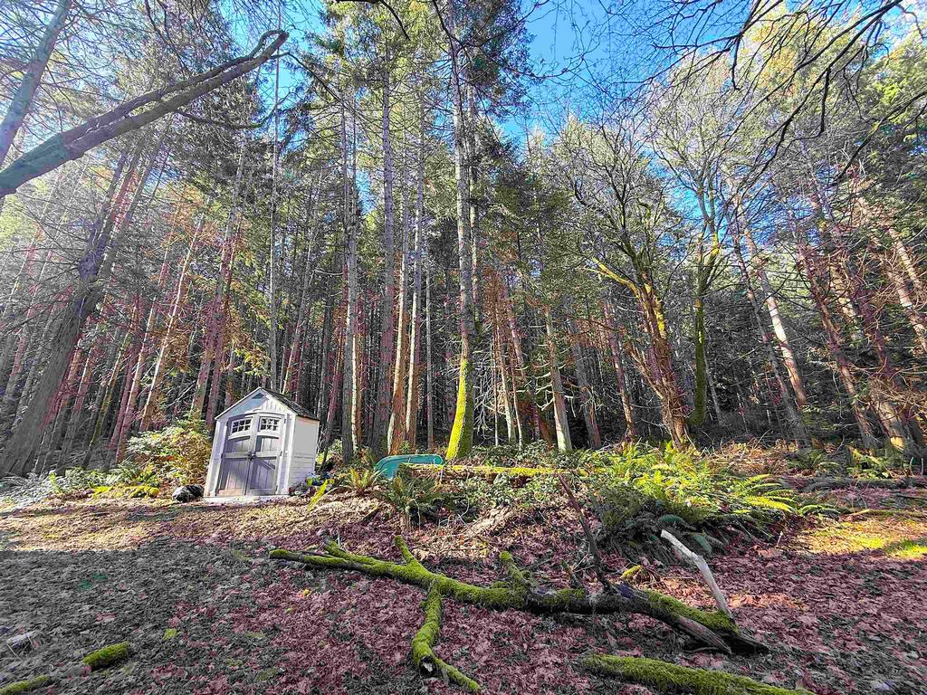 Listing Image for R3095384