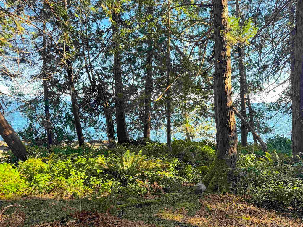 Listing Image for R3095384