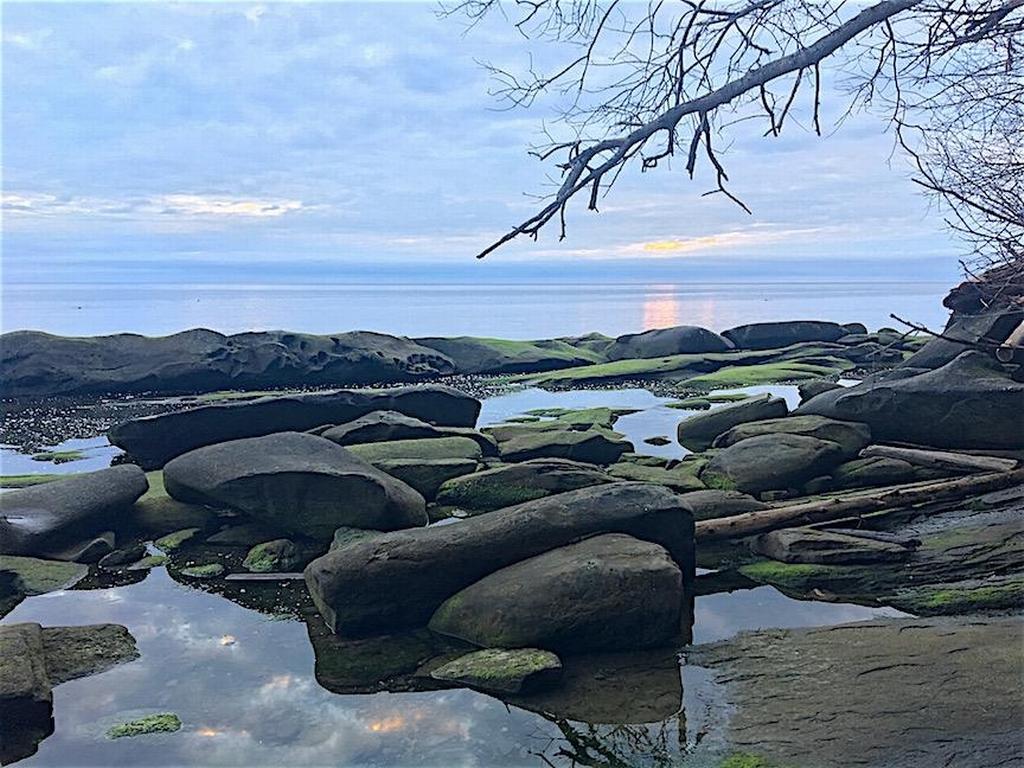 Listing Image for R3095384