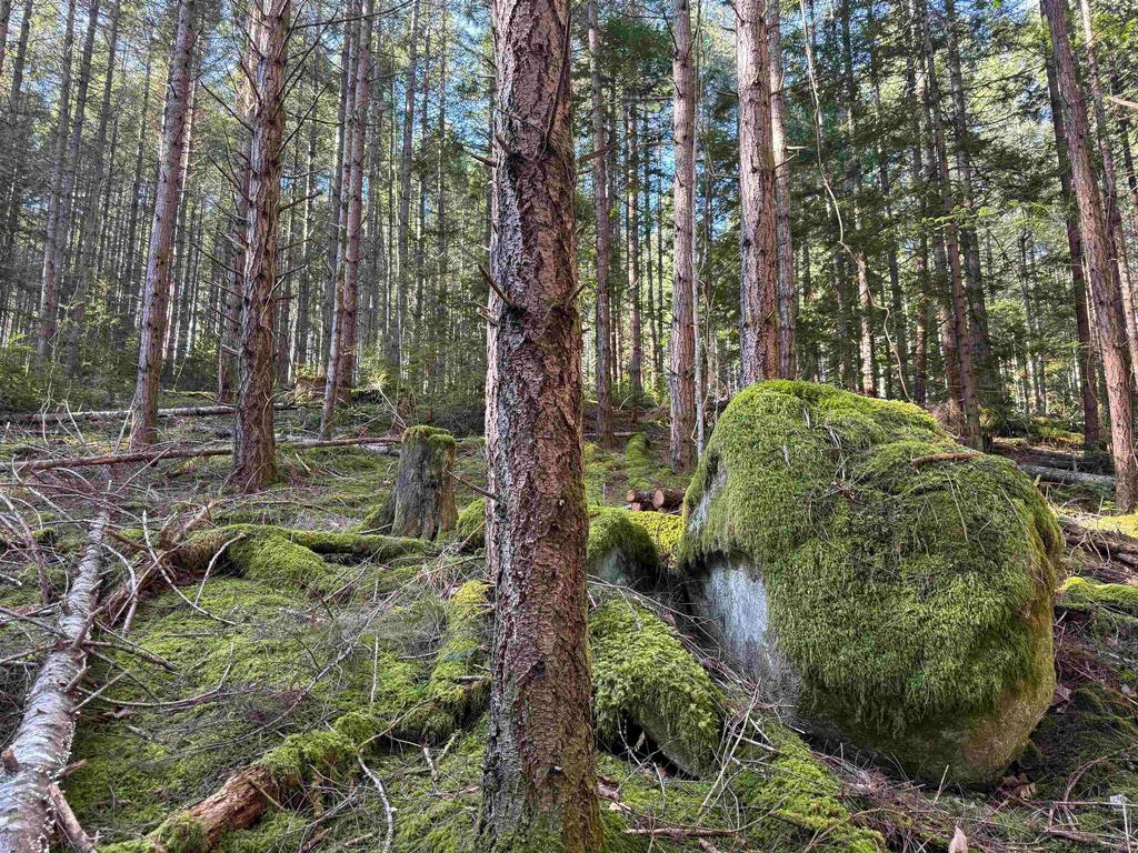 Listing Image for R3095384