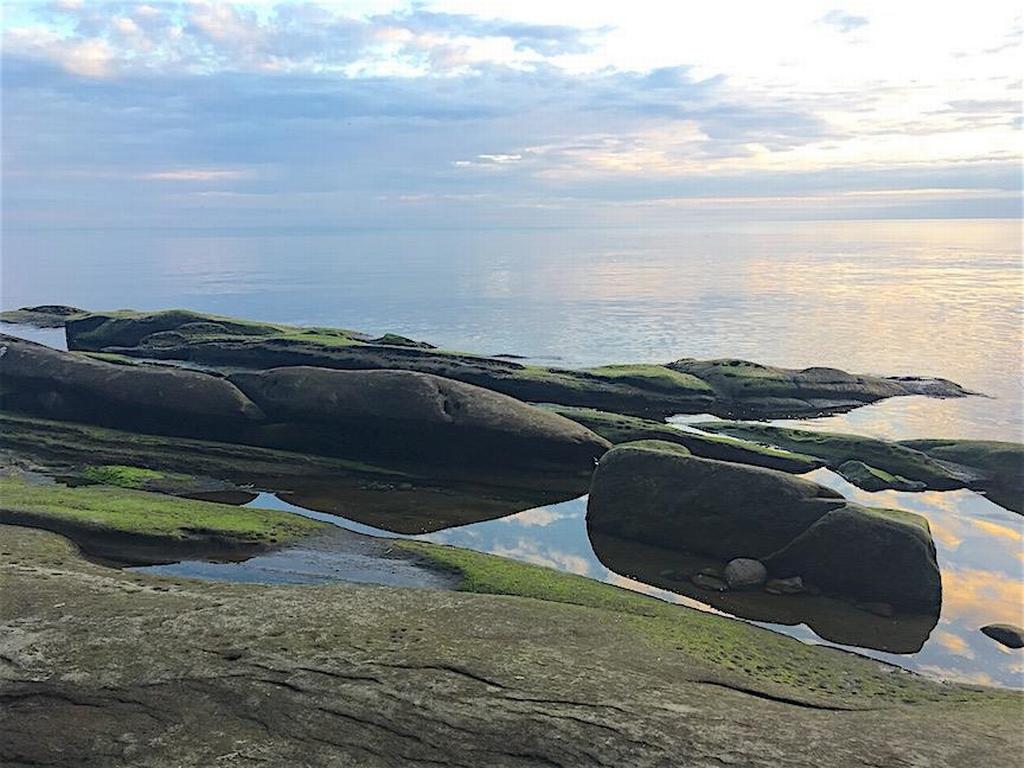 Listing Image for R3095384