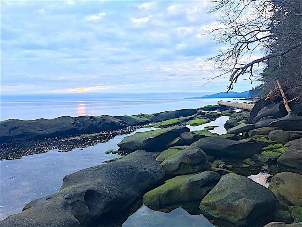 Listing Image for R3095384