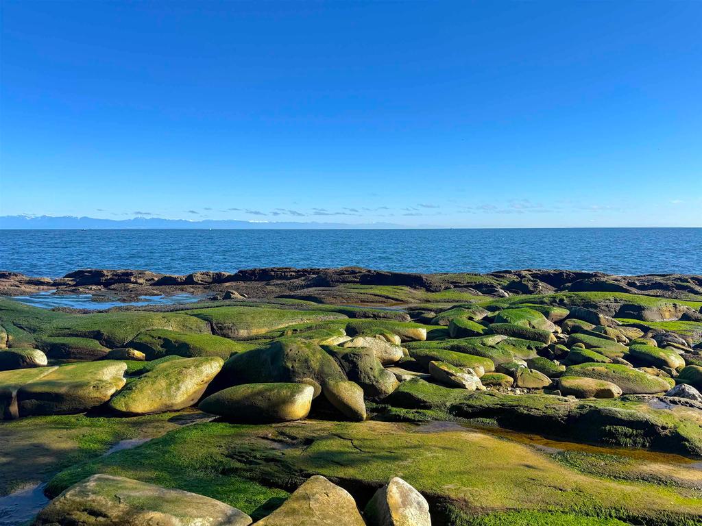 Listing Image for R3095384