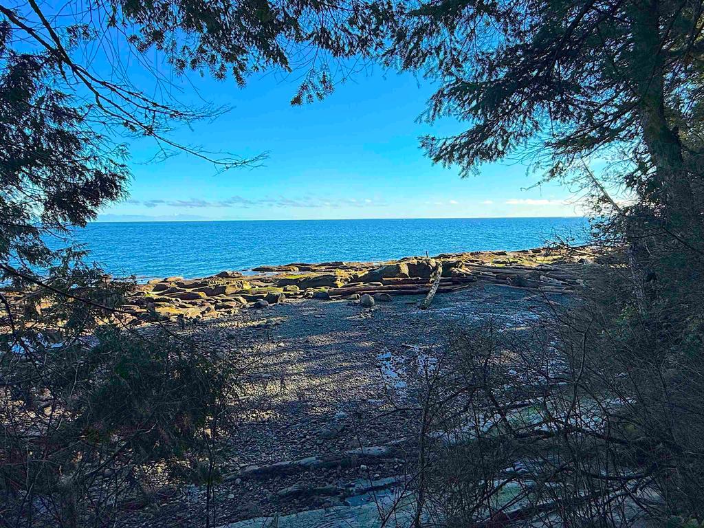 Listing Image for R3095384