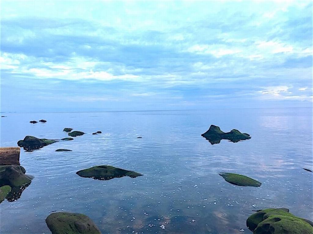 Listing Image for R3095384