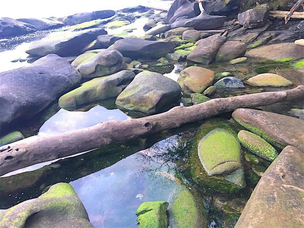 Listing Image for R3095384