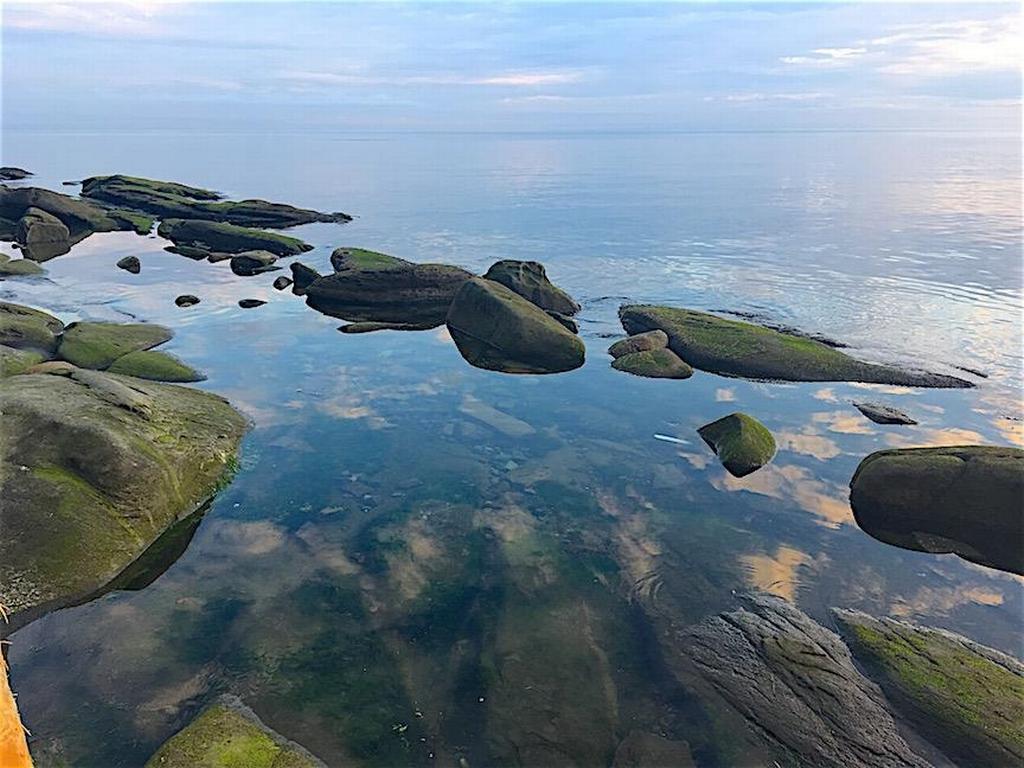 Listing Image for R3095384