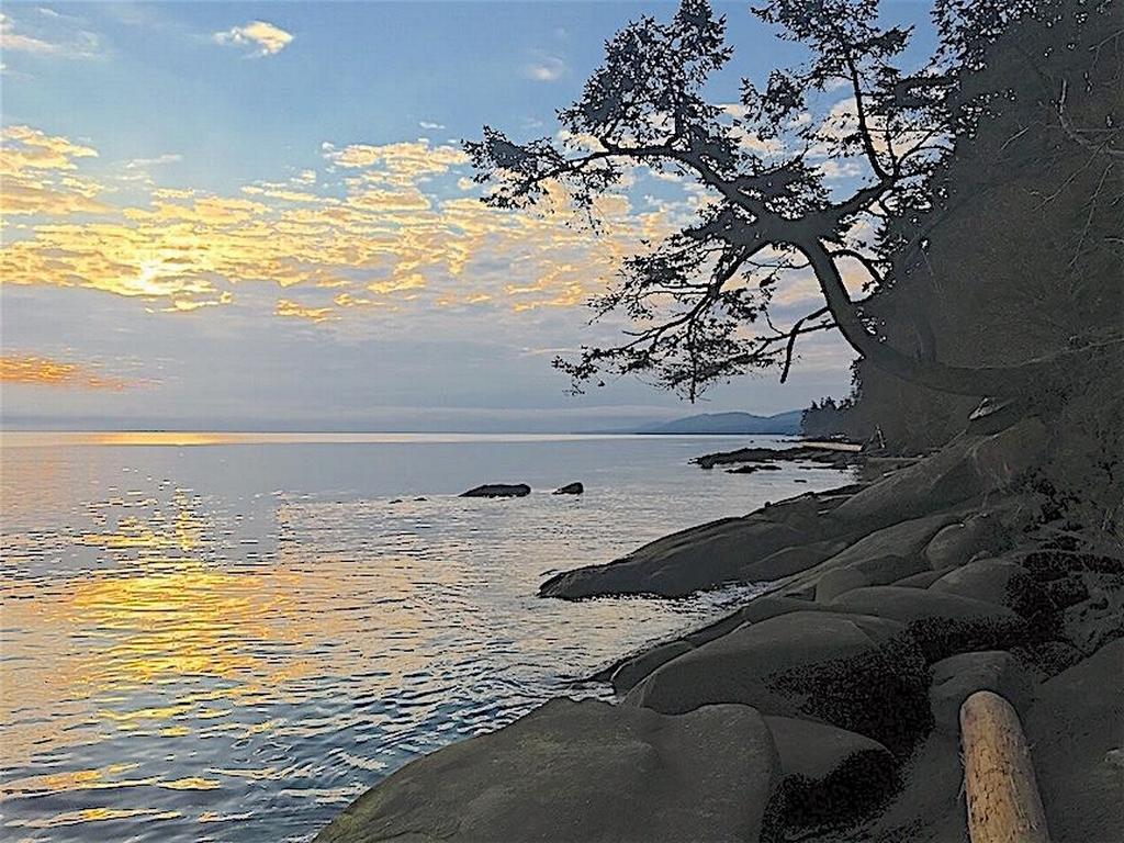 Listing Image for R3095384