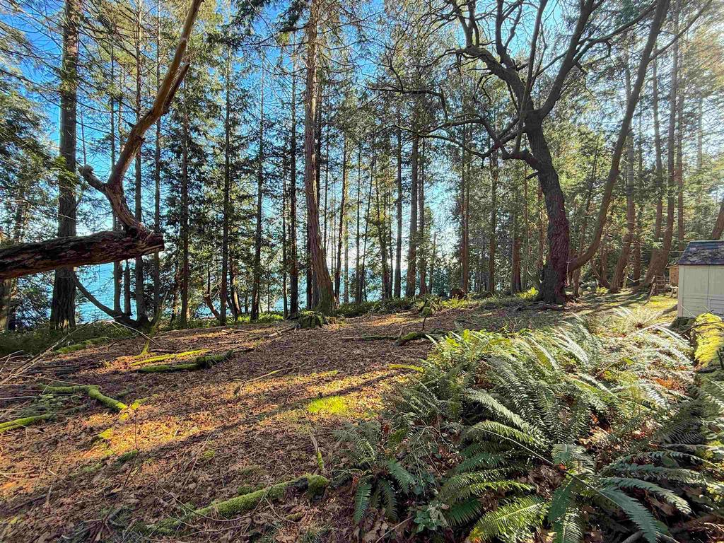 Listing Image for R3095384