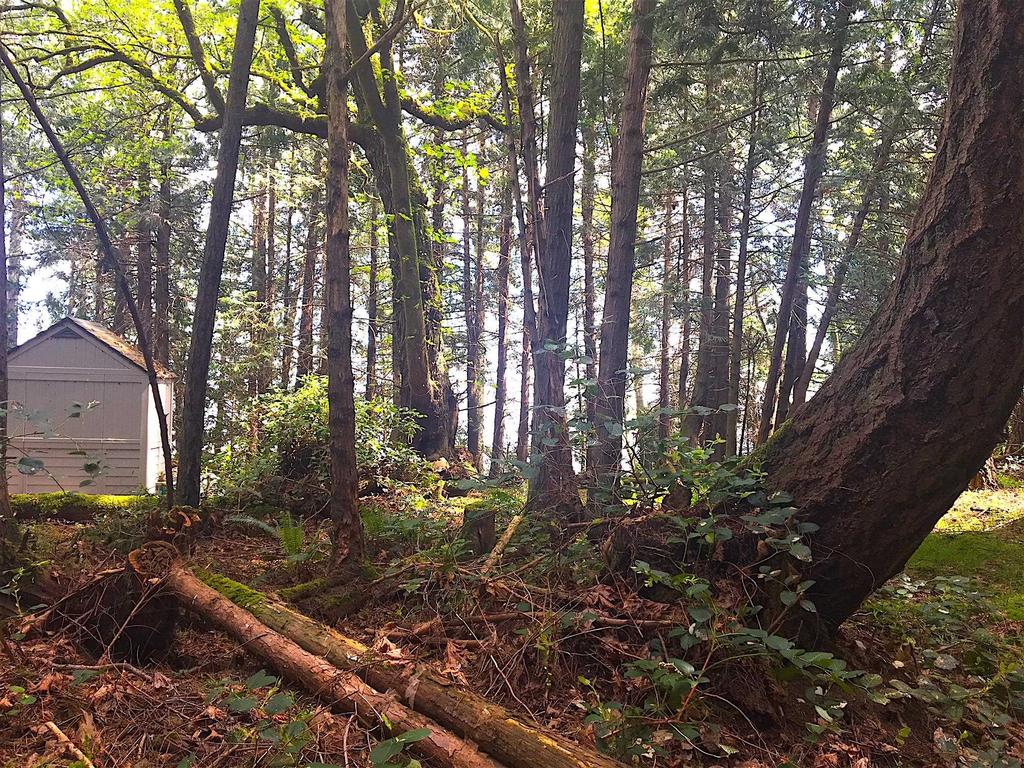 Listing Image for R3095384