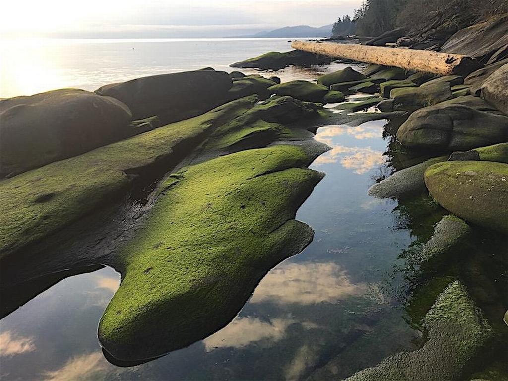 Listing Image for R3095384