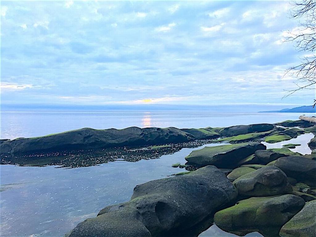 Listing Image for R3095384