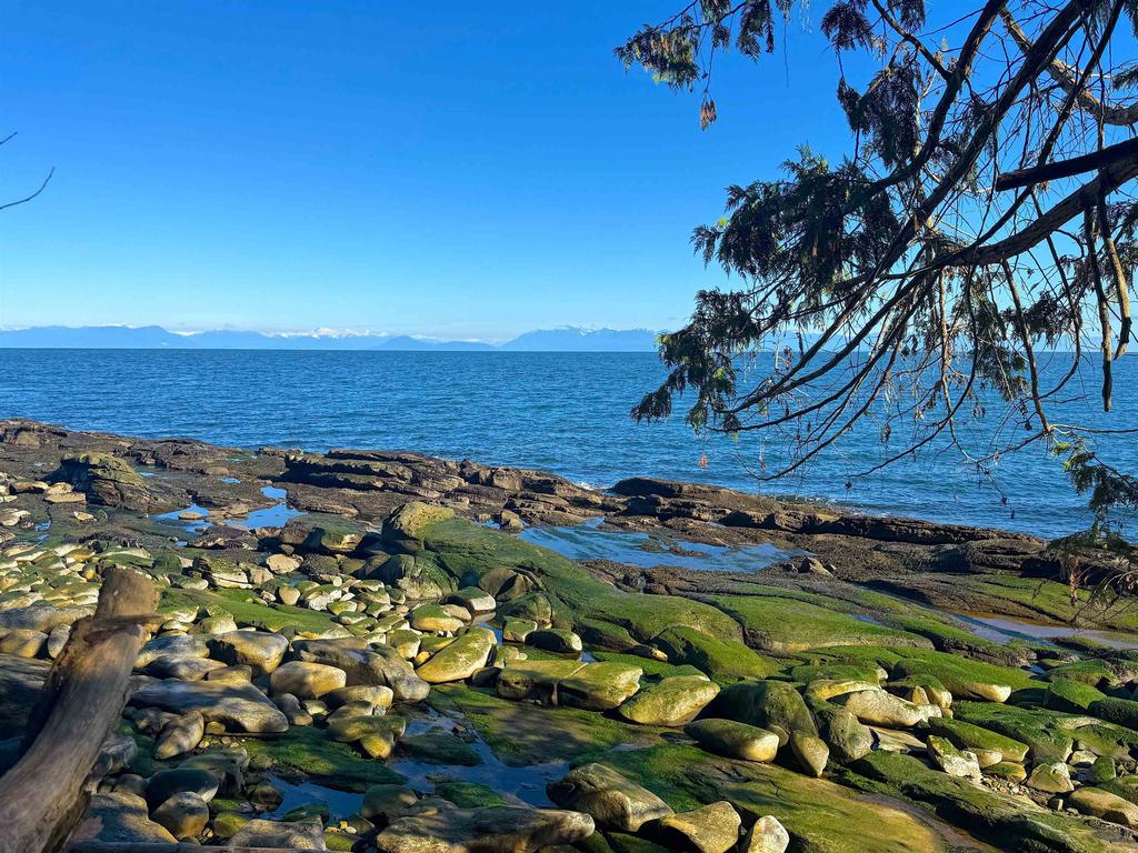 Listing Image for R3095384