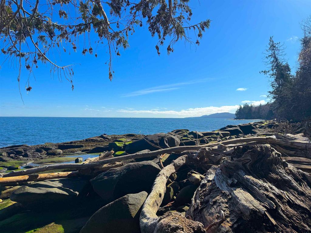 Listing Image for R3095384