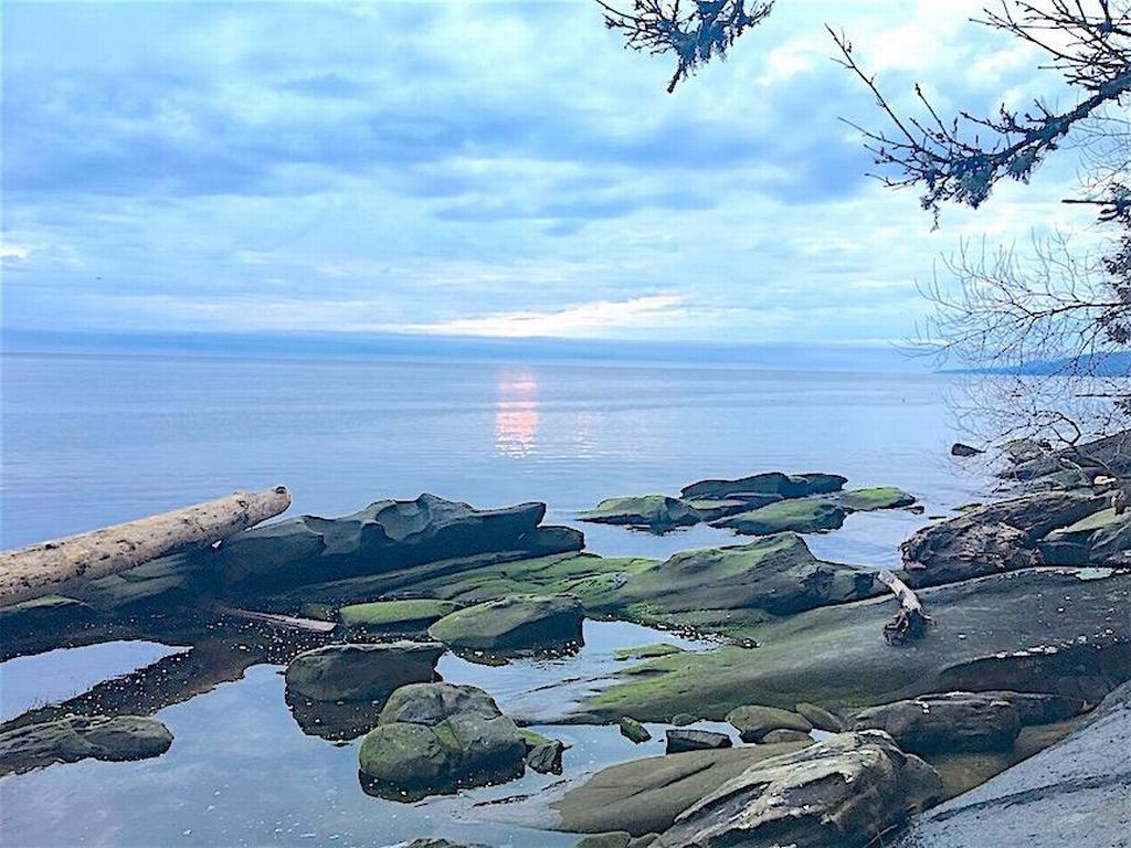 Listing Image for R3095384