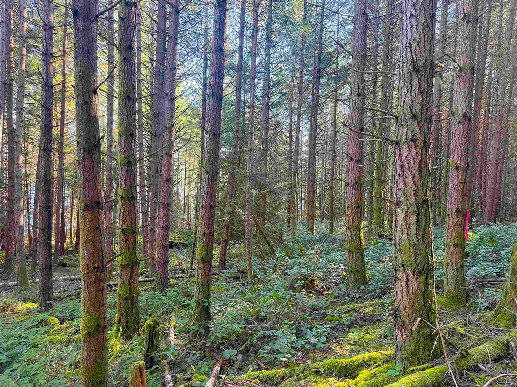 Listing Image for R3095384