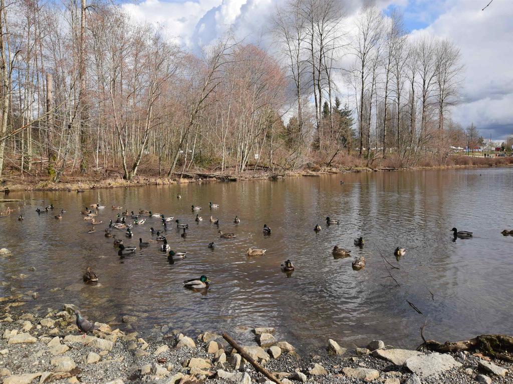 Listing Image for R3095737