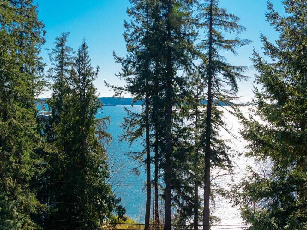 Listing Image for R3095839