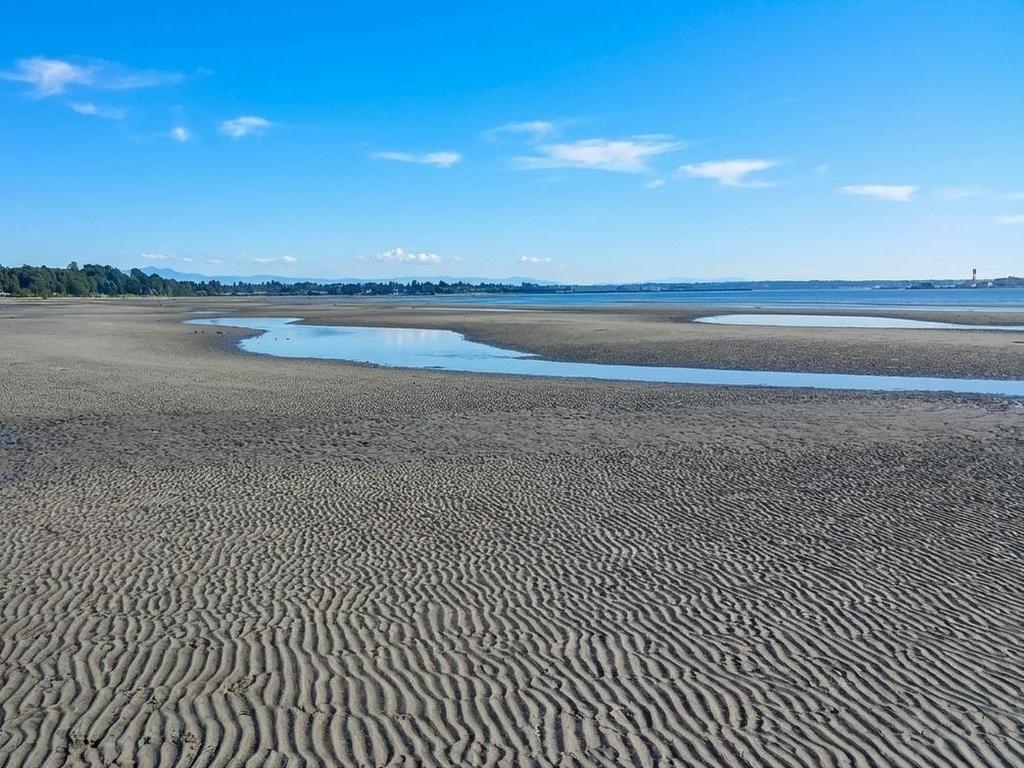 Listing Image for R3095871